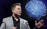 Имплант от Neuralink: компания Илона Маска впервые вживила чип в человеческий мозг